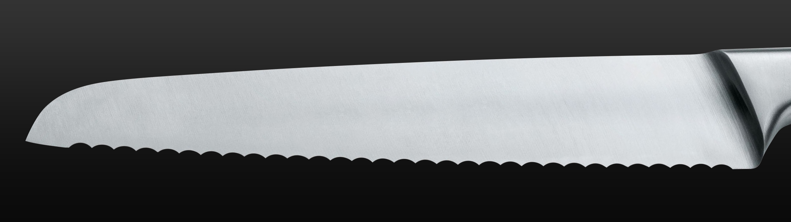 Serrated knife blade, landscape format banner on the subject of sharpening knives with serrated blades