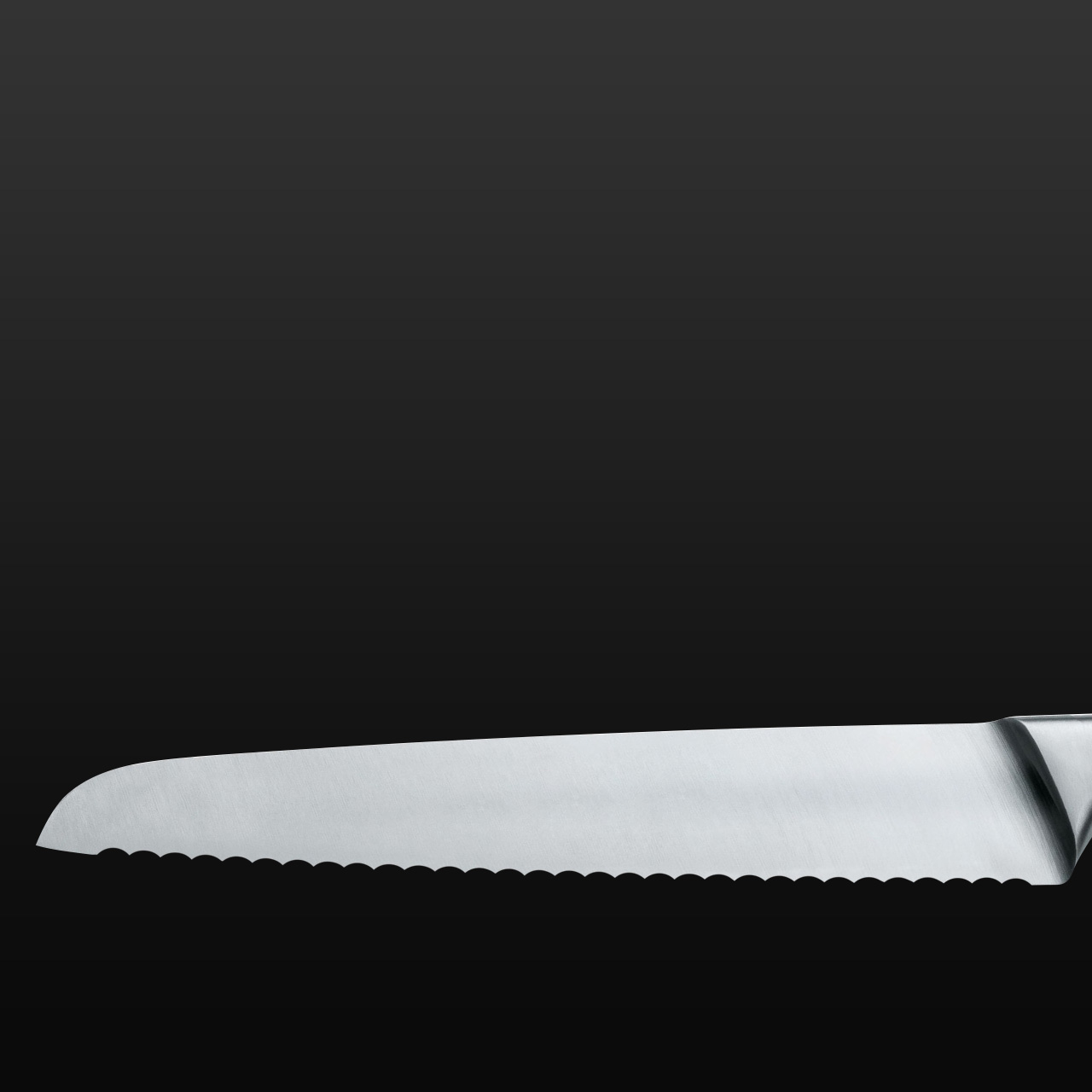 Serrated knife blade, square banner on the subject of sharpening knives with serrated blades